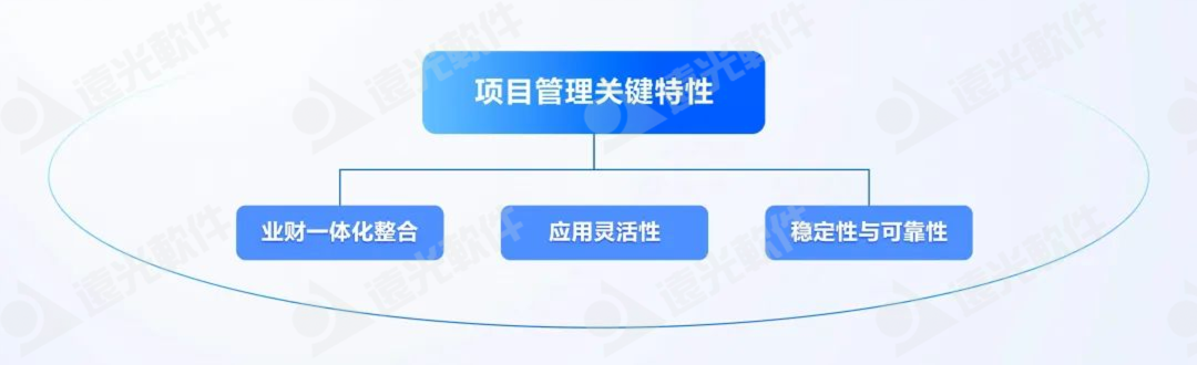 DAP专题 | 项目管理：集团企业的高效运营引擎