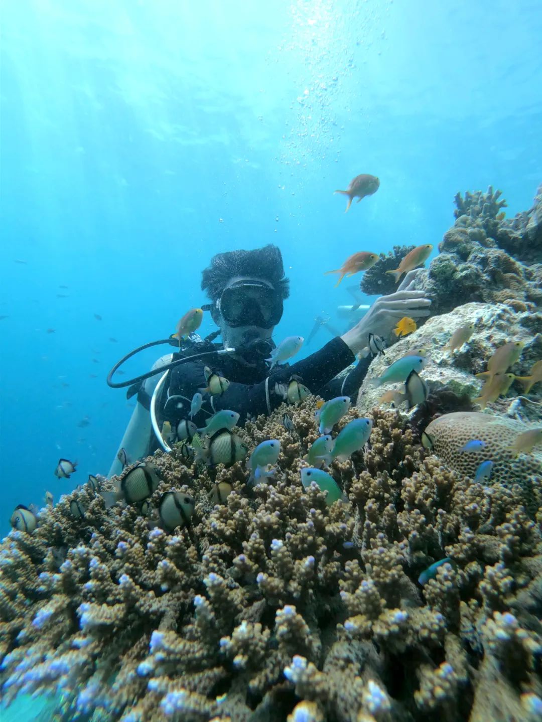 “码”力全开，“程”就辉煌：你身边的不一样的程序员